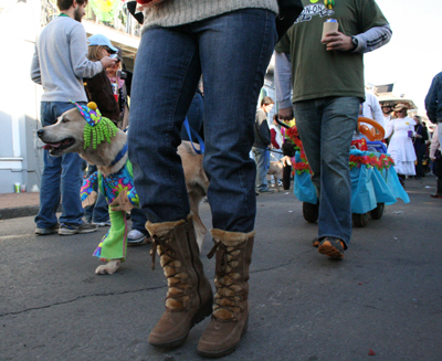 2008-Krewe-of-Barkus-Mardi-Gras-2008-New-Orleans-Parade-0687