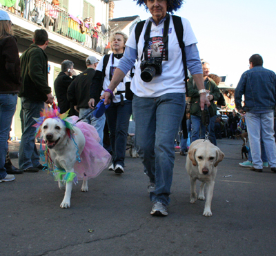 2008-Krewe-of-Barkus-Mardi-Gras-2008-New-Orleans-Parade-0695