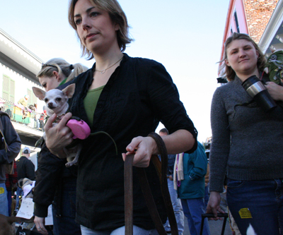 2008-Krewe-of-Barkus-Mardi-Gras-2008-New-Orleans-Parade-0714