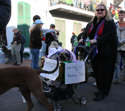 2008-Krewe-of-Barkus-Mardi-Gras-2008-New-Orleans-Parade-0716