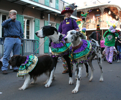 2008-Krewe-of-Barkus-Mardi-Gras-2008-New-Orleans-Parade-0717