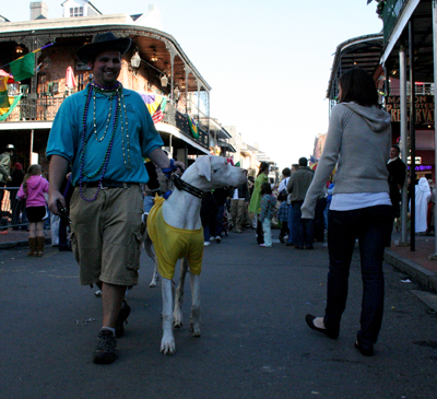 2008-Krewe-of-Barkus-Mardi-Gras-2008-New-Orleans-Parade-0722