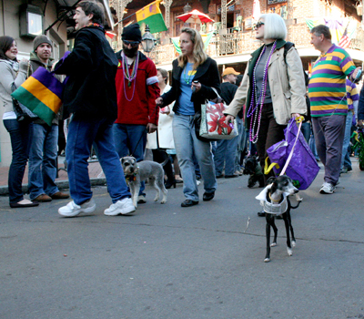 2008-Krewe-of-Barkus-Mardi-Gras-2008-New-Orleans-Parade-0726