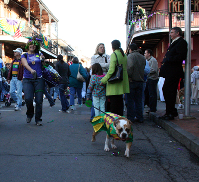 2008-Krewe-of-Barkus-Mardi-Gras-2008-New-Orleans-Parade-0728