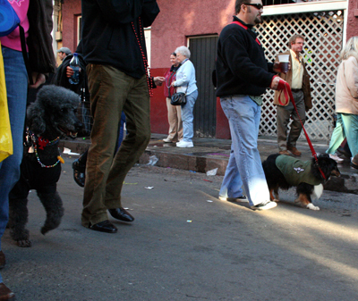 2008-Krewe-of-Barkus-Mardi-Gras-2008-New-Orleans-Parade-0731