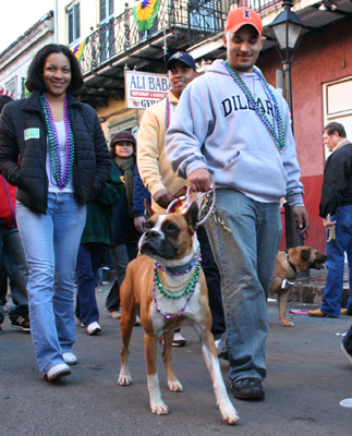 2008-Krewe-of-Barkus-Mardi-Gras-2008-New-Orleans-Parade-0739