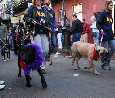 2008-Krewe-of-Barkus-Mardi-Gras-2008-New-Orleans-Parade-0740