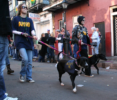 2008-Krewe-of-Barkus-Mardi-Gras-2008-New-Orleans-Parade-0741