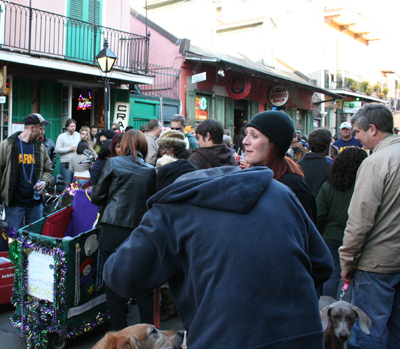 2008-Krewe-of-Barkus-Mardi-Gras-2008-New-Orleans-Parade-0750