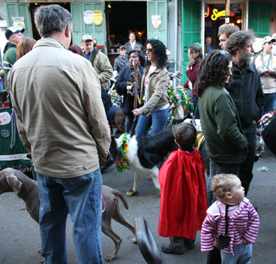 2008-Krewe-of-Barkus-Mardi-Gras-2008-New-Orleans-Parade-0751