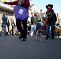 2008-Krewe-of-Barkus-Mardi-Gras-2008-New-Orleans-Parade-0347