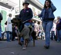 2008-Krewe-of-Barkus-Mardi-Gras-2008-New-Orleans-Parade-0360