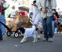 2008-Krewe-of-Barkus-Mardi-Gras-2008-New-Orleans-Parade-0361