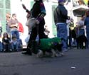 2008-Krewe-of-Barkus-Mardi-Gras-2008-New-Orleans-Parade-0364