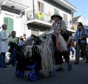 2008-Krewe-of-Barkus-Mardi-Gras-2008-New-Orleans-Parade-0394