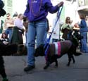 2008-Krewe-of-Barkus-Mardi-Gras-2008-New-Orleans-Parade-0414