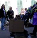 2008-Krewe-of-Barkus-Mardi-Gras-2008-New-Orleans-Parade-0416