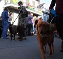 2008-Krewe-of-Barkus-Mardi-Gras-2008-New-Orleans-Parade-0422