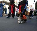 2008-Krewe-of-Barkus-Mardi-Gras-2008-New-Orleans-Parade-0443