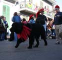 2008-Krewe-of-Barkus-Mardi-Gras-2008-New-Orleans-Parade-0452