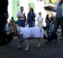 2008-Krewe-of-Barkus-Mardi-Gras-2008-New-Orleans-Parade-0583