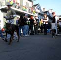 2008-Krewe-of-Barkus-Mardi-Gras-2008-New-Orleans-Parade-0594