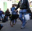 2008-Krewe-of-Barkus-Mardi-Gras-2008-New-Orleans-Parade-0603