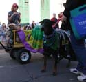 2008-Krewe-of-Barkus-Mardi-Gras-2008-New-Orleans-Parade-0610