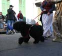 2008-Krewe-of-Barkus-Mardi-Gras-2008-New-Orleans-Parade-0623