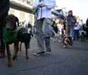 2008-Krewe-of-Barkus-Mardi-Gras-2008-New-Orleans-Parade-0644