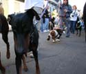 2008-Krewe-of-Barkus-Mardi-Gras-2008-New-Orleans-Parade-0645