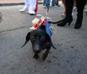 2008-Krewe-of-Barkus-Mardi-Gras-2008-New-Orleans-Parade-0650