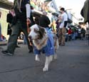 2008-Krewe-of-Barkus-Mardi-Gras-2008-New-Orleans-Parade-0657