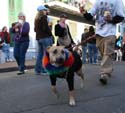 2008-Krewe-of-Barkus-Mardi-Gras-2008-New-Orleans-Parade-0658