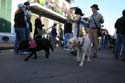 2008-Krewe-of-Barkus-Mardi-Gras-2008-New-Orleans-Parade-0663