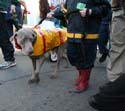 2008-Krewe-of-Barkus-Mardi-Gras-2008-New-Orleans-Parade-0670
