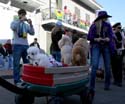 2008-Krewe-of-Barkus-Mardi-Gras-2008-New-Orleans-Parade-0681