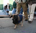 2008-Krewe-of-Barkus-Mardi-Gras-2008-New-Orleans-Parade-0684
