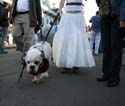2008-Krewe-of-Barkus-Mardi-Gras-2008-New-Orleans-Parade-0685