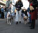 2008-Krewe-of-Barkus-Mardi-Gras-2008-New-Orleans-Parade-0699
