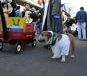 2008-Krewe-of-Barkus-Mardi-Gras-2008-New-Orleans-Parade-0711