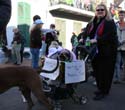 2008-Krewe-of-Barkus-Mardi-Gras-2008-New-Orleans-Parade-0716