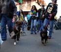 2008-Krewe-of-Barkus-Mardi-Gras-2008-New-Orleans-Parade-0720