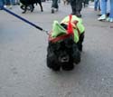 2008-Krewe-of-Barkus-Mardi-Gras-2008-New-Orleans-Parade-0725