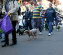 2008-Krewe-of-Barkus-Mardi-Gras-2008-New-Orleans-Parade-0727
