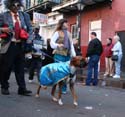 2008-Krewe-of-Barkus-Mardi-Gras-2008-New-Orleans-Parade-0735