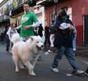2008-Krewe-of-Barkus-Mardi-Gras-2008-New-Orleans-Parade-0747