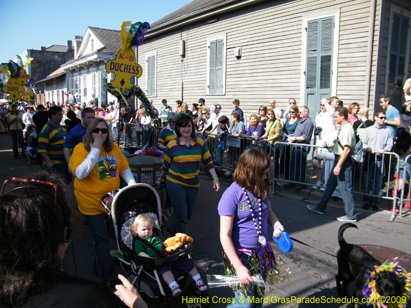 2009-Mystic-Krewe-of-Barkus-Mardi-Gras-French-Quarter-New-Orleans-Dog-Parade-Harriet-Cross-244