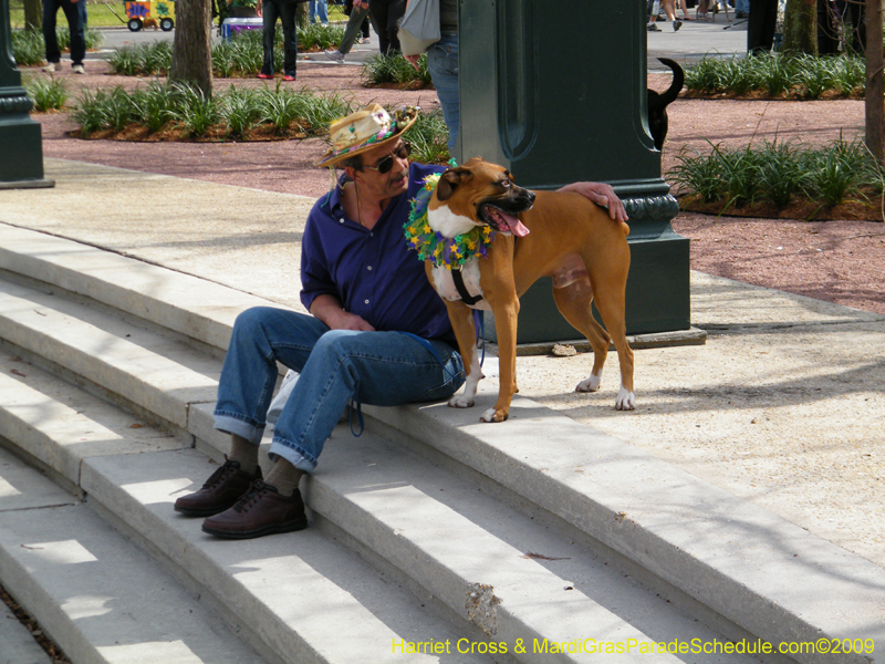 2009-Mystic-Krewe-of-Barkus-Mardi-Gras-French-Quarter-New-Orleans-Dog-Parade-Harriet-Cross-7112