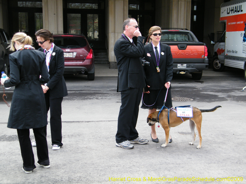 2009-Mystic-Krewe-of-Barkus-Mardi-Gras-French-Quarter-New-Orleans-Dog-Parade-Harriet-Cross-7115